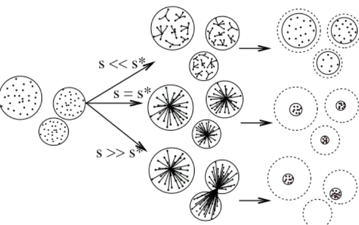 FIG. V.9: Transformation of the clusters after the first Hi-AP step depending on s. s (λ) is defined to insure