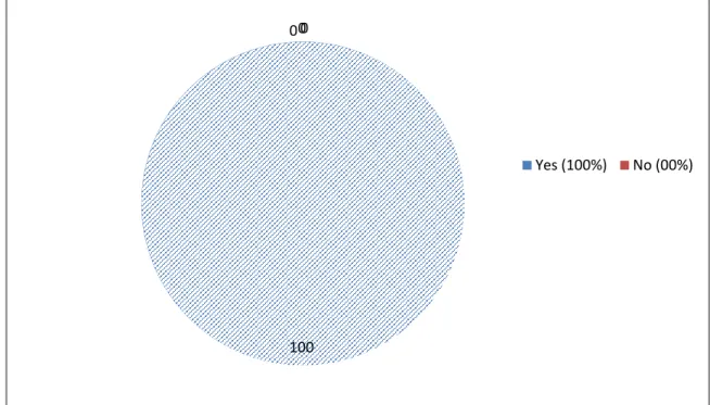 Figure 3.17: The Benefits ofChatting on Improving Students’ Target Language.