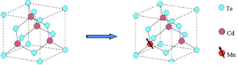 Figure III.1 (a). Semi-conducteur hôteCdTe, (b). Smi-conducteur magnétique dilué CdMnTe 