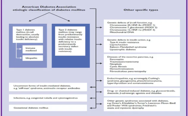 Figure 2.1 Etiologic classification of diabetes according to the American Diabetes Association (ADA) ( ADA, 2007)