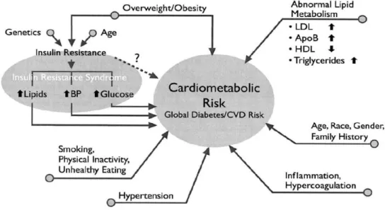 Figure 2.2 Factors contributing to cardiometabolic risk (Brunzell et al., 2008)