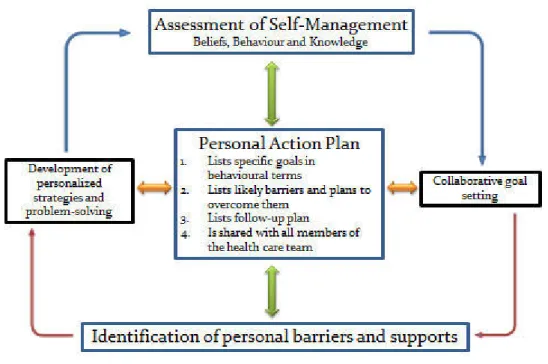 Figure 2.6 Behavioural principles expressed as self-management action steps ( Glasgow &amp;