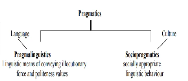 Figure 1.6: Pragmatic Transfer Continuum: Language-Culture (Based on Leech; 1983 and  Thomas 1983, as cited in Bou Franch 1998: 12) 