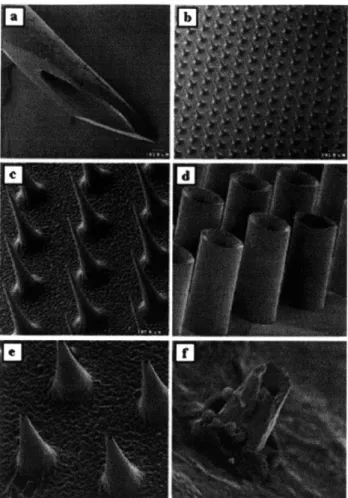 Figure  2.8:  Scanning electron  micrographs  of (a) a 26-gauge  hypodermic  needle (-460 gm OD),  (b) a  silicon microneedle  array shown at the same  magnification  as the hypodermic  needle and (c)  at  higher magnification,  (d)  a  hollow  metal micro