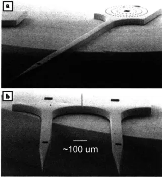 Figure 2.12:  Scanning  electron  micrographs of (a)  a  single  polysilicon  microhypodermic  needle  and (b) a  dual microhypodermic  needle  design developed  for drug injection across  the skin