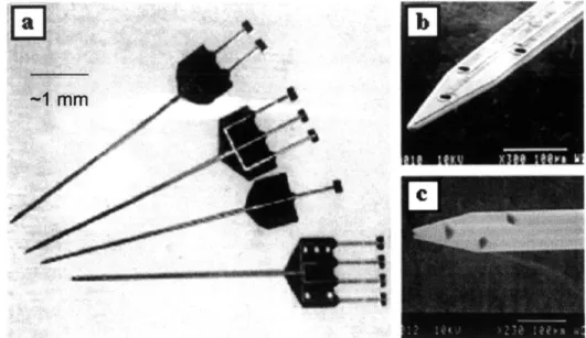 Figure 2.18:  Images showing  micro-fabricated  neural probes used  to deliver  small  amounts of bioactive compounds  while  simultaneously  recording electrical  signals