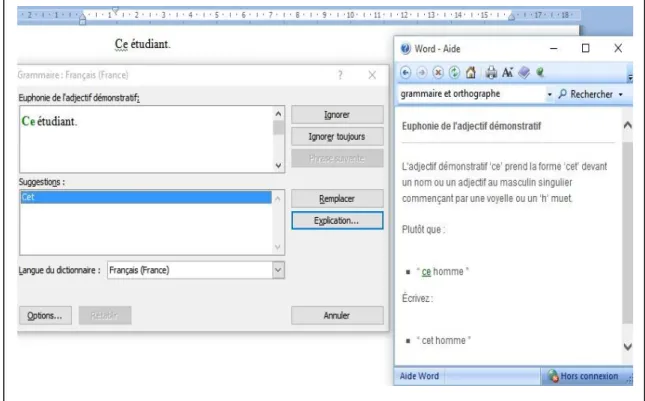 Figure 15 : Exemple de correction de grammaire 