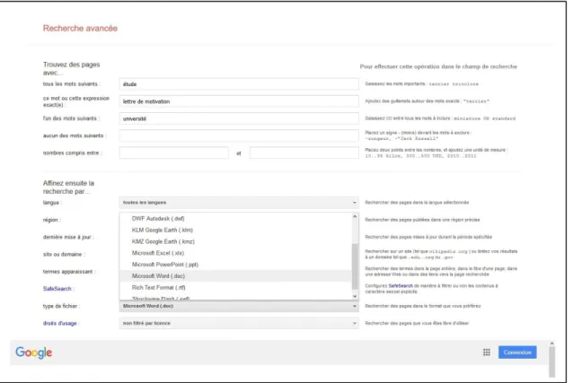 Figure 9 : Exemple d’une Recherche avancée sur Google 