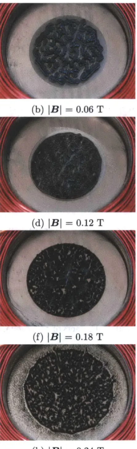 Figure  4-5:  Appearance  of  MR fluid  samples  after  failure.  Each sample  had  an  initial thickness  of 400  pLm  and  diameter  of  30  mm.