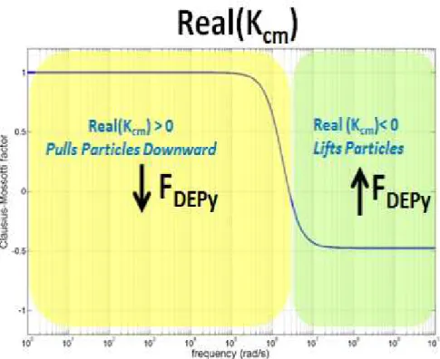 Figure I.9 : Spectre typique pour la partie réelle du facteur de Clausius-Mossotti pour une particule homogène