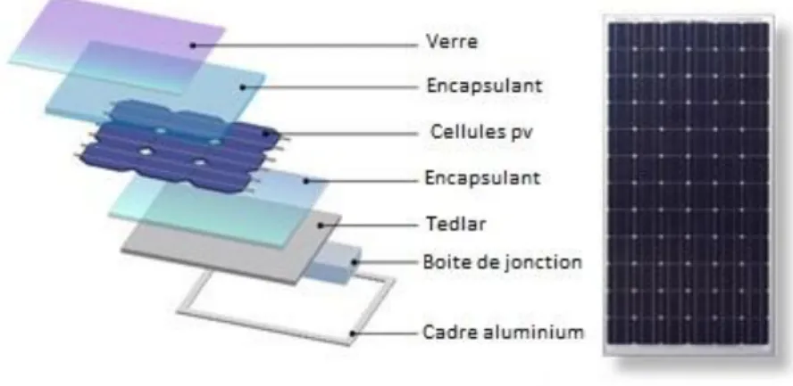 Figure I.8 : panneau solaire photovoltaïque 