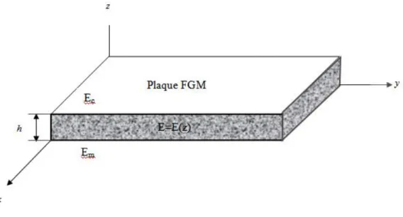 Figure I.10 : Géométrie d’une plaque en FGM 
