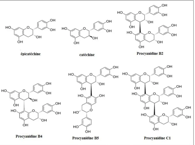 Figure 02 : Les majeurs procyanidines de Crataegus sp. (Svedström et al., 2002a ; Cui et al.,  2006a; Cui et al., 2006b; Liu et al, 2010b; Liu et al., 2011b).