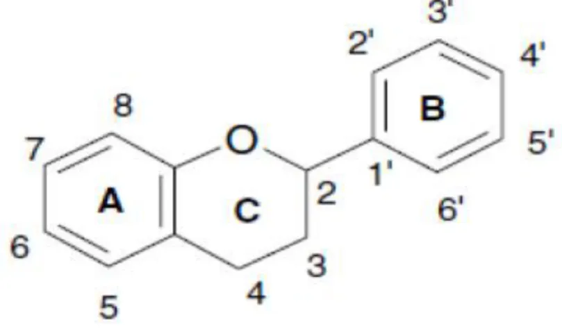 Figure 06: Structure générale d’un flavonoïde (Balasundram et al., 2006). 