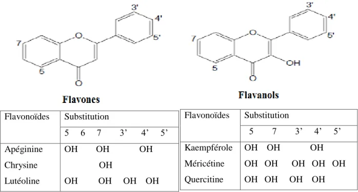 Figure 08: Quelques exemples des flavones et flavonols (Bruneton, 2009). 