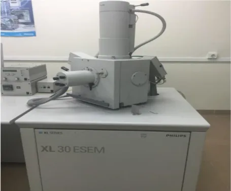 Figure IV.4 : Microscope électronique à balayage EDAX PHILIPS XL30 ESEM,  utilisé dans la caractérisation des échantillons 