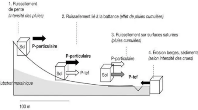 Figure I.7 : Transfert du phosphore des sols vers les eaux de surface (Dorioz, 2013) 