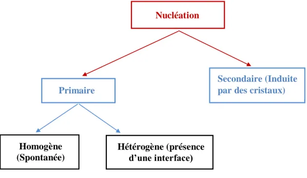 Figure II.1: Terminologies utilisées pour désigner les différents types de nucléation  (Mullin, 1972) 