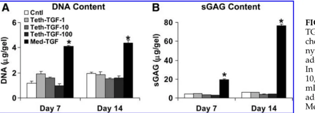 FIG. 3. Adsorbed TGF- b 1 (Ads-TGF) promotes chondrogenesis of bovine BMSCs in peptide and agarose  hydro-gels
