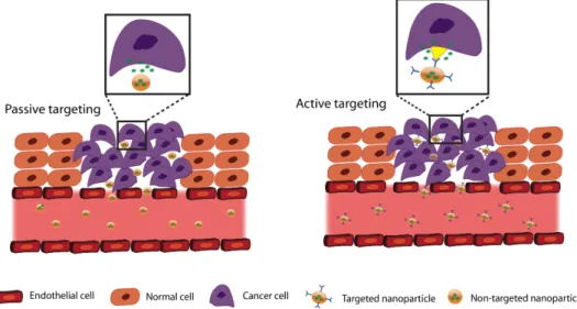 Figure 3. Tumor targeting approaches in oral drug delivery. 