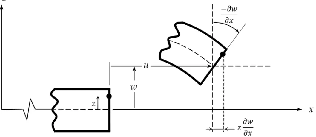 Figure II.1. Cinématique de la déformation de la plaque d’Euler-Bernoulli. 
