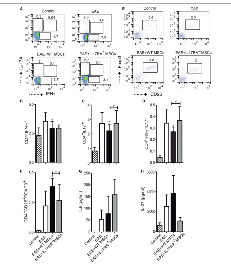FigUre 5 | Mesenchymal stem cells deficient for IL17RA failed to reduce the frequency of Th17 cells and to induce Treg generation after administration in  experimental autoimmune encephalomyelitis (EAE) mice