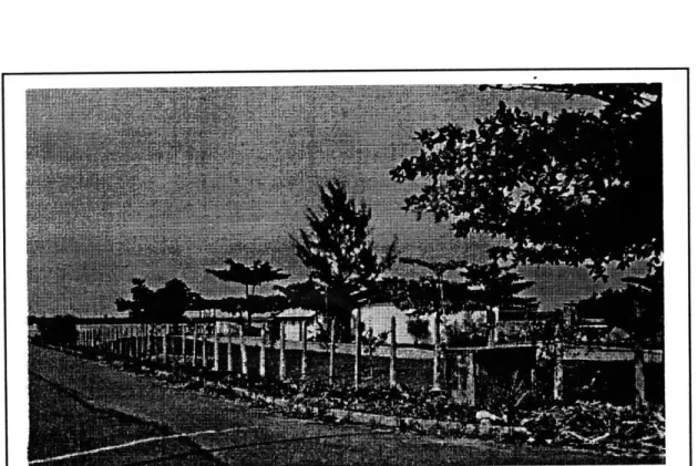 Fig.  46 Novo  Leblon