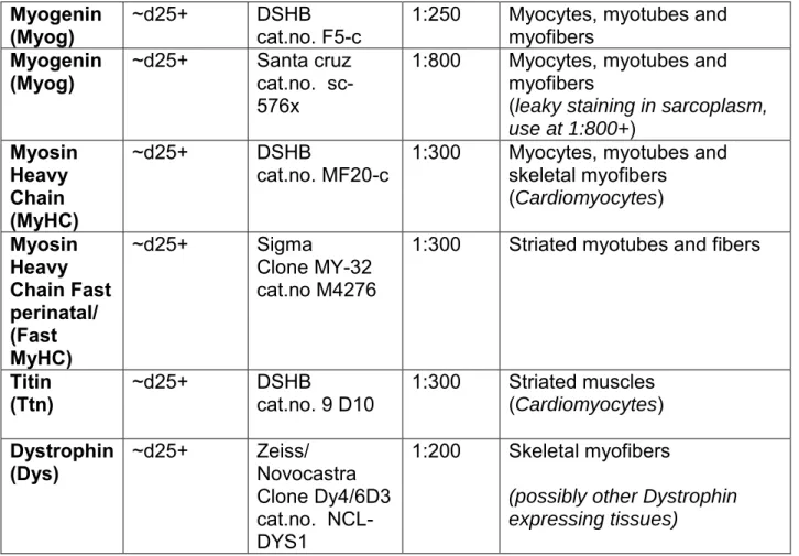 Table 2: List of markers used to characterize the differentiating hPSC-derived myogenic  cultures and corresponding antibodies for immunohistochemistry (Figures 2, 4, 5)
