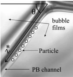 Fig. 2 Successive positions occupied by a glass sphere (35 mm) in settling motion through a Plateau border in a foam of solution B, the acquisition time is Dt ¼ 200 ms.