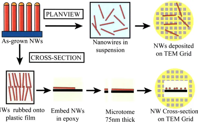 Figure  2-6:  Schematic  showing the preparation  process  for plan-view  and cross-section  nanowire TEM  samples.