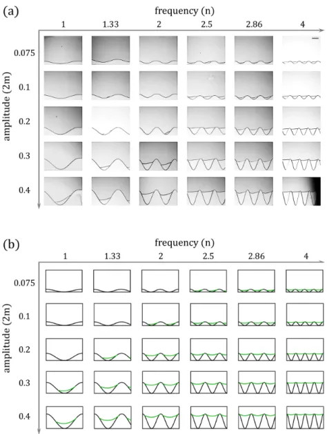 FIG. 4. (a) Experiment and (b) theoretical results of entrapped oil for a sinusoidal pattern with different values of frequency (n) and amplitude (2m)