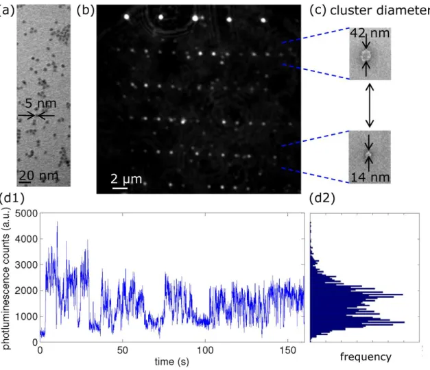 Figure 3. (a) Transmission electron micrograph of CdSe/CdZnS core/shell QDs  randomly deposited on a 