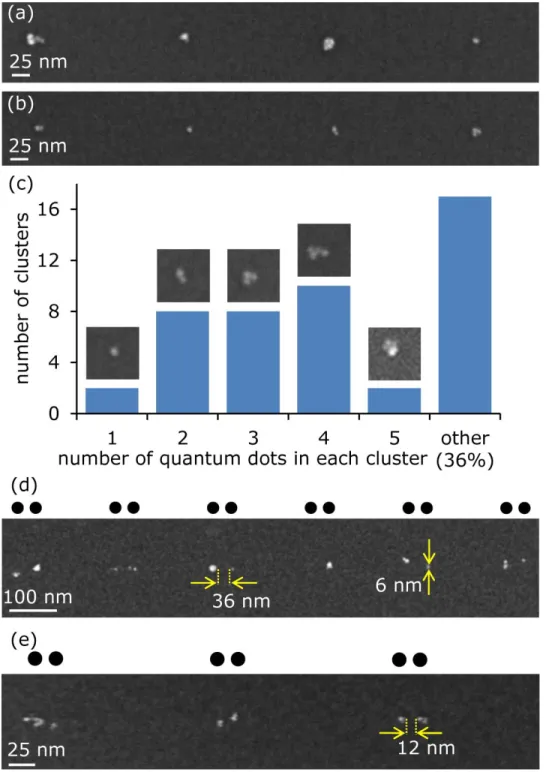 Figure  2.  Scanning-electron  micrographs  of  (a,  b)  6-nm-diameter  CdSe  QDs  and  (d,  e)  5-nm-diameter 