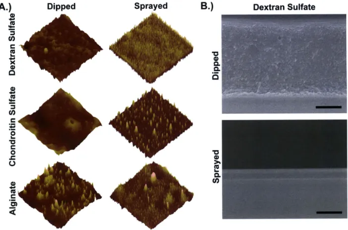Figure 3-4:  Final  film  morphology.  A.)  Atomic  force  microscope  images  (10  pm  x  10  sm)  for  sprayed  and dipped  films  of  architecture (poly  2/polyanion/vancomycin/polyanion) 60 
