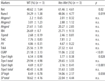 Table 1. Quantitative analysis of molecular markers in wild-type andNes-Met mice