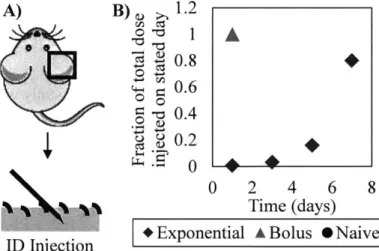 Figure  2-1:  Experimental  set-up  and  the  exponential  injection  patterns  are  shown