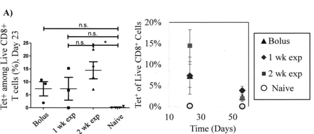 Figure 2-5: Antigen-specific  T  cells  are most abundant with  the 2 week  exponential  dosing regime