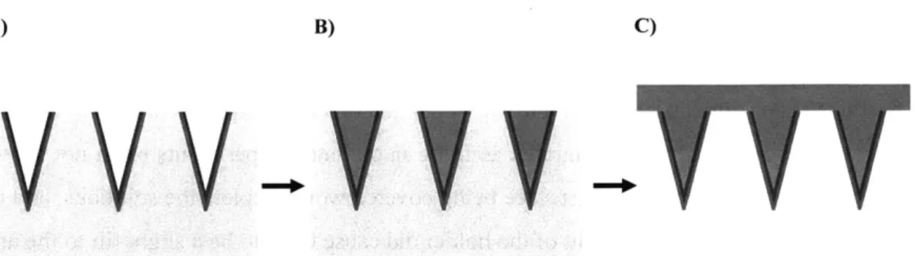 Figure 3-2: Membrane microneedle  synthesis  and workflow  is  shown.  (a)  Membranes  are built on PDMS  molds