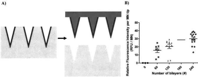 Figure  3-5:  Membranes  are  transferred  onto  polymeric  microneedles  and  the  film  thickness