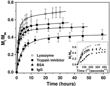Fig. 2. Release profiles for lysozyme ( 䊐 ), trypsin inhibitor ( F ), BSA ( Œ ), and IgG ( ■ ) through the self-assembling peptide hydrogel in PBS (pH 7.4) at room temperature