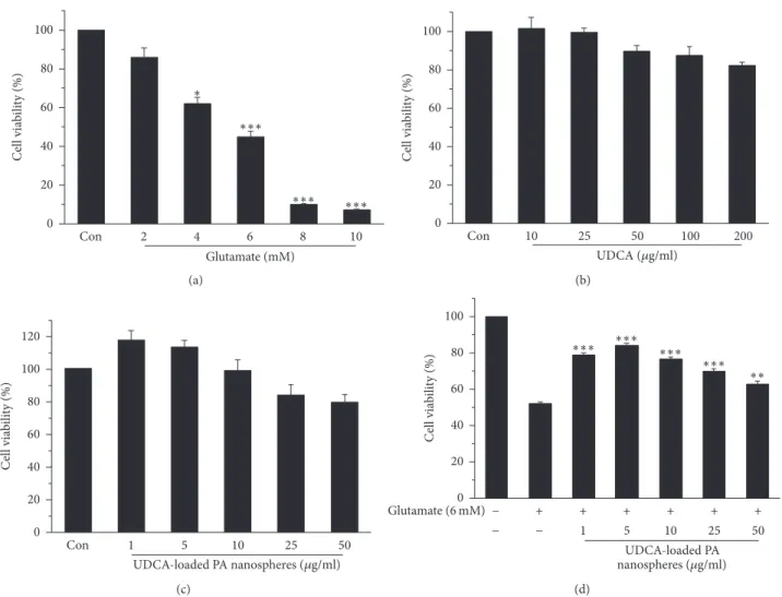 Figure 5: Evaluation of (a) the toxic concentration of glutamate, (b) the safety concentrations of UDCA, (c) the UDCA-PA nanospheres, and (d) the neuroprotective effects of the UDCA-PA nanospheres on the glutamate-induced cell death in PC-12 cells