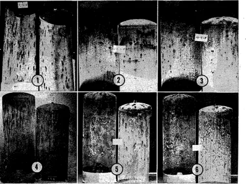 Figure  1-Appearance  of  tanks  after  failure  at  controlled  temperatures.  Example  1,  23  months  a t   170  F,  Example  2,  17  months  at  170 F,  Example  3,  20  months  a t  170 F,  Example  4,  8 0  months  a t   150  F,  Example  5,  66  mon
