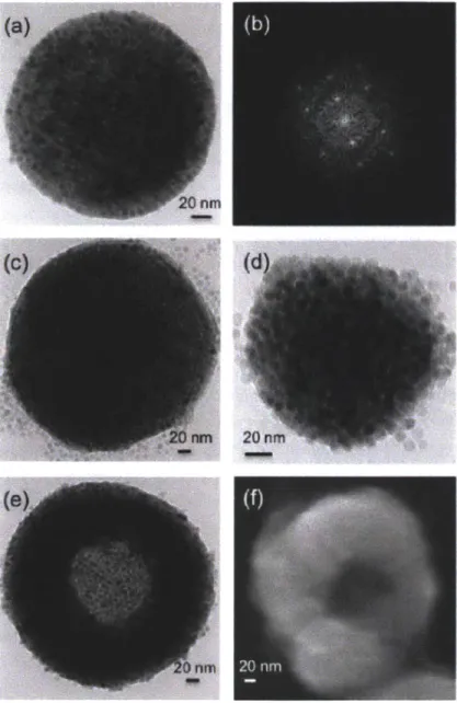 Figure  2-5:  Magnetic  nanoparticle  clusters:  (a)  TEM  image  of  a  single- single-domain  crystalline  superlattice  formed  at  low  temperature  (25  *C),  (b)  fast Fourier transform  diffraction  pattern for particles  in  (a)  showing BCC  (110)