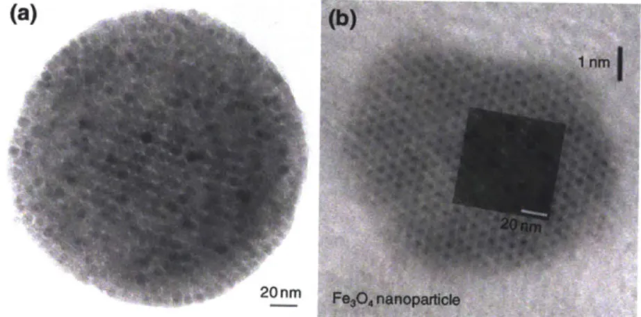 Figure 2-6:  Nanoparticle  lattice  mirrors molecular  ordering.  (a) TEM  image of nanoparticle  clusters  (b)  HR-TEM  image of magnetic  nanoparticles