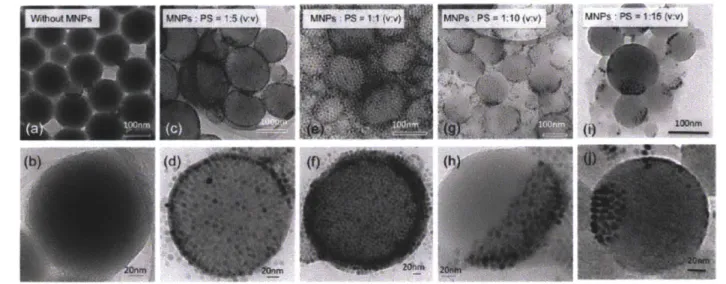 Figure  2-7:  Magnetic  nanoparticle  coated  polymer  bead.  (a,  b)  beads without  nanoparticles,  (c,  d)  monolayer-coated  beads,  (e,  f) bilayer-coated beads,  (g-j)  Janus  beads  with  different  surface  coverages  depending  on  the initial  na