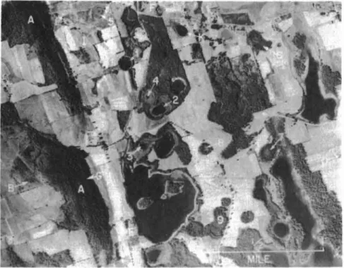 Fig. I. This airphoto shows the progressive &#34;colonizing&#34; of kettle-holes, first by bog plants and finally by trees