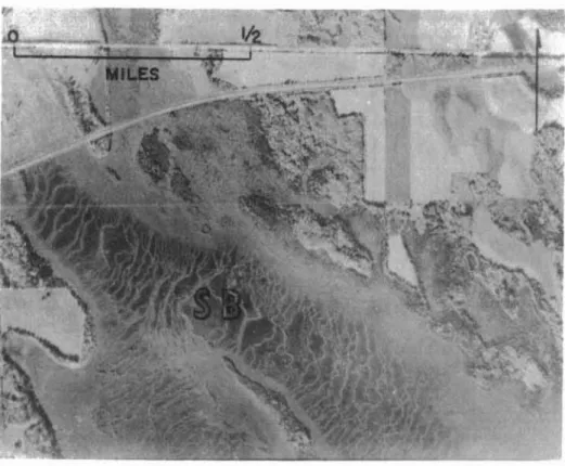 Fig. 2. Airphoto showing the wavy bog-and-tree covered ridges on a so-called &#34;string&#34; bog