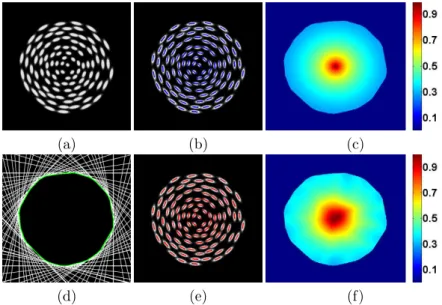 Figure 3: 2D synthetic data (a) 512 × 512 synthetic tumor spheroid (b) ground- ground-truth orientations (c) ground-ground-truth anisotropy (d) ground-ground-truth orientations (e) Structure tensor based orientations (f) Structure tensor based anisotropy.