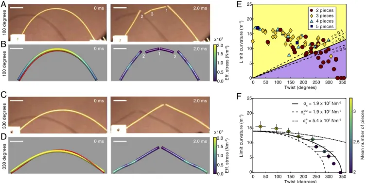 Fig. 2. Using twist to break Feynman’s fragmentation bound. (A) High-speed images from an experiment with subcritical twist angle showing fragmen- fragmen-tation into more than two pieces, in agreement with Feynman’s conjecture (Movie S2)
