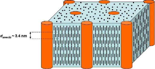 Figure  2.3.  Schematic  representation  of  the  LCBCP  morphology  in  an  aligned  and  oriented  fiber